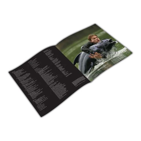BIG FISH DANNY ELFMAN VINYL COLLECTOR COULEUR