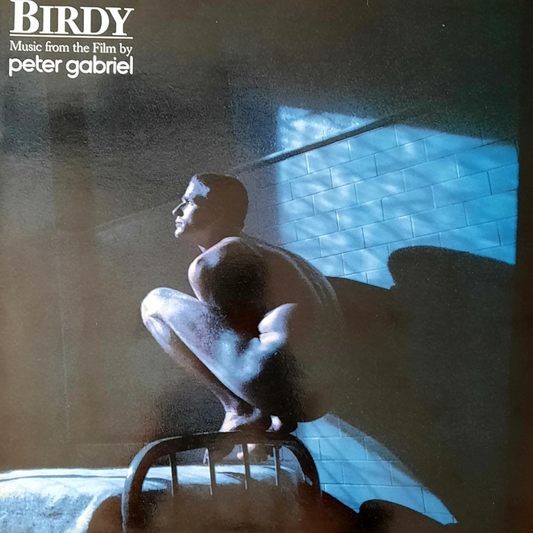 OCCASION VINYL BIRDY PETER GABRIEL